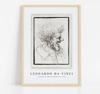 Leonardo Da Vinci - Caricature of a Man with Bushy Hair 1495