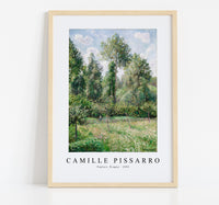 Camille Pissarro - Poplars, Éragny 1895