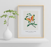 Mary Altha Nims - Rose Bush and Butterfly