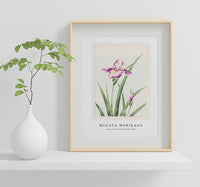 Megata Morikaga - Hana–strobel during 1870–1880