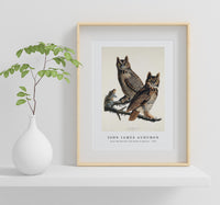 John James Audubon - Great Horned Owl from Birds of America (1827)