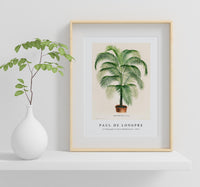 Paul de Longpre - A lithograph of Cocos Weddelliana 1875