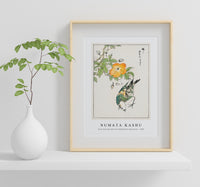 Numata Kashu - Grey Starling and Cercidiphyllum Japonicum illustration from Pictorial Monograph of Birds (1885)