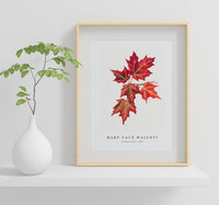 Mary Vaux Walcott - Autumn Leafes  (1874)