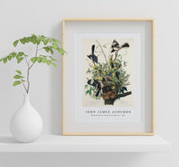 John James Audubon - Mocking Bird from Birds of America (1827)