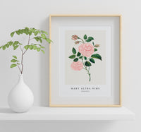 Mary Altha Nims - Damask Rose