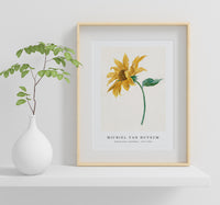 Michiel Van Huysum - Branch with a sunflower (1714–1760)