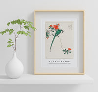 Numata Kashu - Japanese Long-tailed Tit and Pomegranate illustration from Pictorial Monograph of Birds (1885)