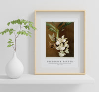 Frederick Sander - Catasetum bungerothii from Reichenbachia Orchids-1847-1920