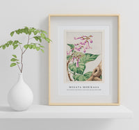 Megata Morikaga - Kiri branch with flowers and leaves during 1870–1880