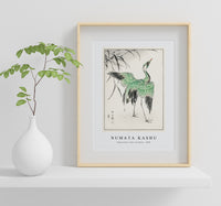 Numata Kashu - Demoiselle crane and Reed illustration from Pictorial Monograph of Birds (1885)