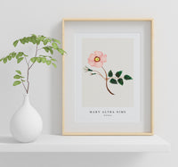 Mary Altha Nims - Wild Rose