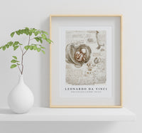 Leonardo Da Vinci - Studies of the Foetus in the Womb 1510-1513