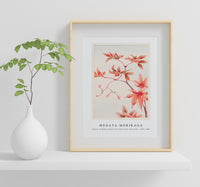 Megata Morikaga - Branch of Momiji maple tree with leaves and seeds during 1870–1880