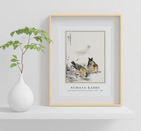 Numata Kashu - Small Japanese Greenfinch and Shepherd's Purse illustration from Pictorial Monograph of Birds (1885)