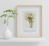 Frederick Sander - Dendrobium melanodiscus from Reichenbachia Orchids-1847-1920