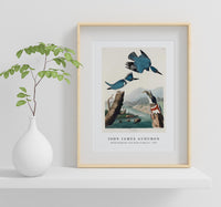 John James Audubon - Belted Kingfisher from Birds of America (1827)