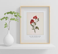 M. de Gijselaar - Red flower by M. de Gijselaar (1830)