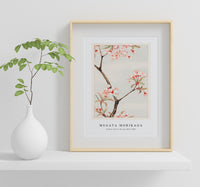 Megata Morikaga - Sakura cherry during 1870–1880