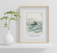 Numata Kashu - Riu Kiu House Swallow illustration from Pictorial Monograph of Birds (1885)