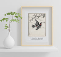 Numata Kashu - Hondo Great Spotted Woodpecker illustration from Pictorial Monograph of Birds (1885)