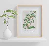 Megata Morikaga - Stem with leaves and small flowers during 1870–1880