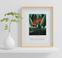 Robert John Thornton - The Queen–Plant from The Temple of Flora (1807)