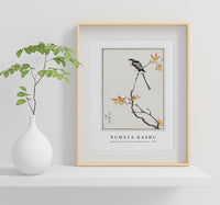 Numata Kashu - Japanese Long-tailed Tit and Maple Tree illustration from Pictorial Monograph of Birds (1885)