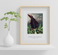 Robert John Thornton - The Dragon Arum from The Temple of Flora (1807)