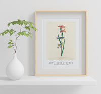 John James Audubon - Blue Yellow back Warbler from Birds of America (1827)