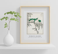 Numata Kashu - Japanese White-eye and Osmanthus Fragrans illustration from Pictorial Monograph of Birds (1885)