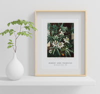 Robert John Thornton - The Passiflora Cerulea from The Temple of Flora (1807)