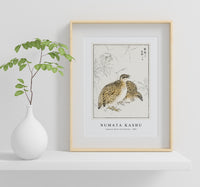 Numata Kashu - Japanese Quail and Gentian illustration from Pictorial Monograph of Birds (1885)