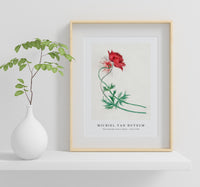 Michiel Van Huysum - Two branches with a flower (1714–1760)