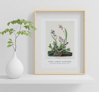 John James Audubon - Field Sparrow from Birds of America (1827)