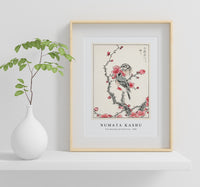 Numata Kashu - Pine Bunting and Plum Tree illustration from Pictorial Monograph of Birds