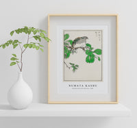 Numata Kashu - Barbary Dove and Oak Tree illustration from Pictorial Monograph of Birds (1885)