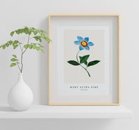 Mary Altha Nims - Star Flower