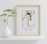 Numata Kashu - Siberian Blue-tail illustration from Pictorial Monograph of Birds (1885)