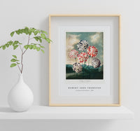 Robert John Thornton - A Group of Carnations from The Temple of Flora (1807)