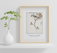 Numata Kashu - Siskin and Euonymus Alata illustration from Pictorial Monograph of Birds (1885)