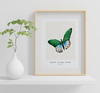 Mary Altha Nims - Butterfly