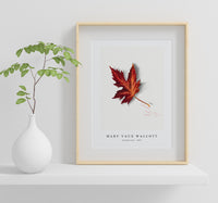 Mary Vaux Walcott - Autumn Leaf (1874)