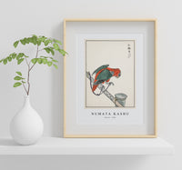 Numata Kashu - Macaw illustration from Pictorial Monograph of Birds (1885)