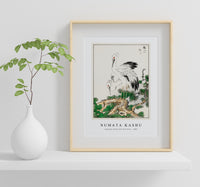 Numata Kashu - Japanese Stork and Pine Tree illustration from Pictorial Monograph of Birds (1885)