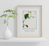 Numata Kashu - Fairy Pitta and Japanese Allspice illustration from Pictorial Monograph of Birds (1885)