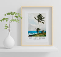 winslow homer - Palm Tree, Nassau-1898