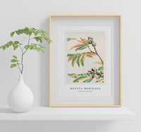 Megata Morikaga - Shi during 1870–1880