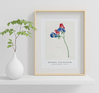 Michiel Van Huysum - Branch with two flowers1714-1760