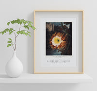 Robert John Thornton - The Night–Blowing Cereus from The Temple of Flora (1807)